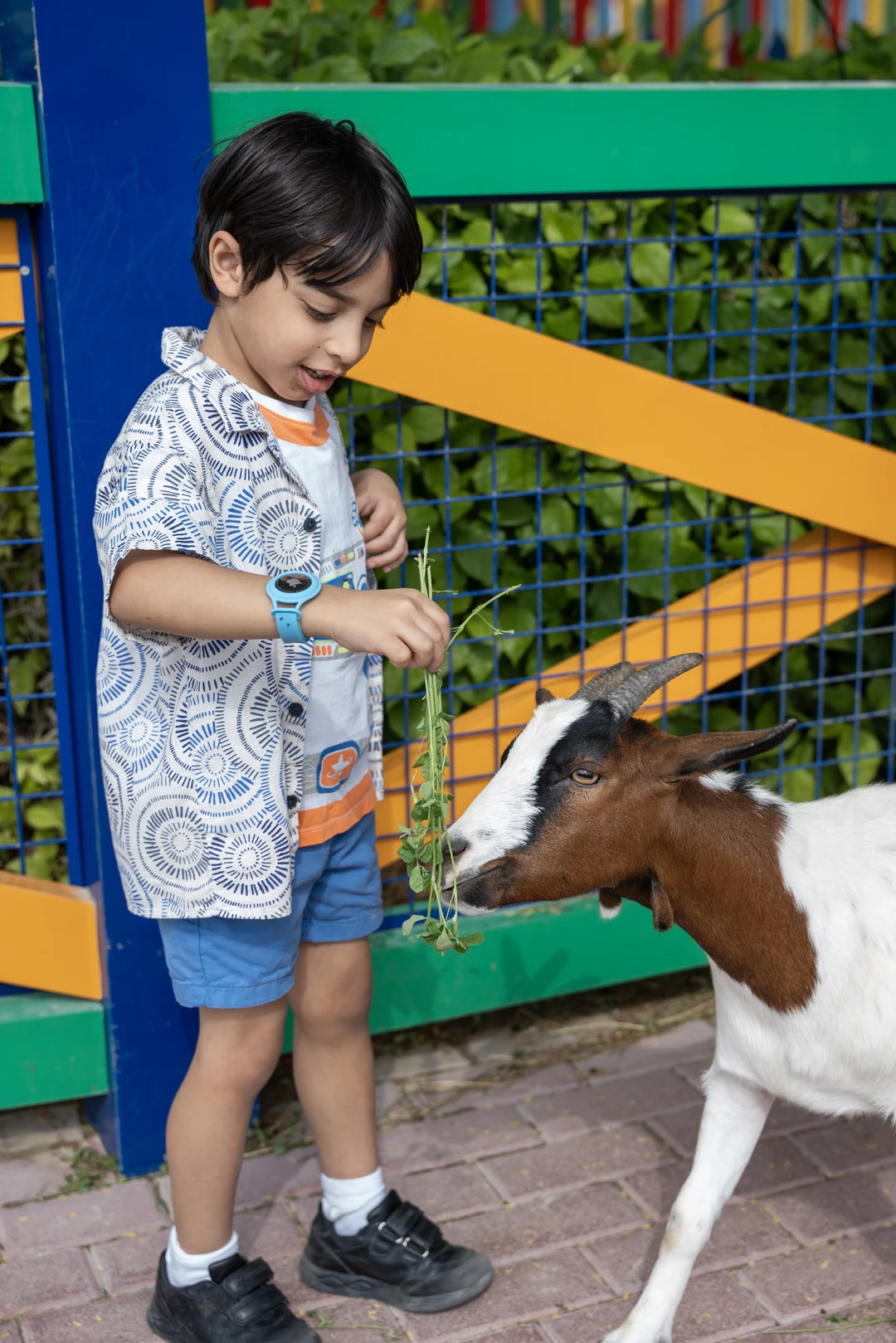Kids Farm at Dubai Safari Park